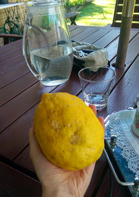 Giant Homegrown Lemon