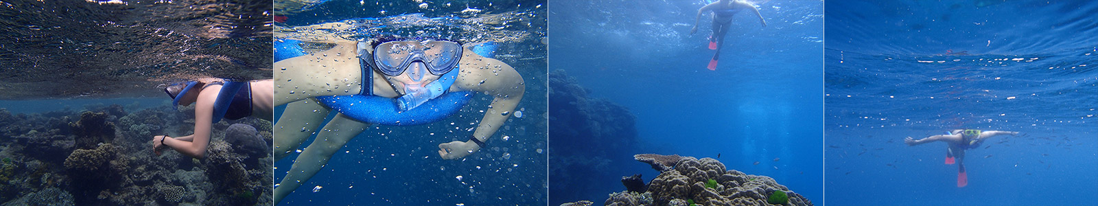 Great Barrier Reef Cairns, June 2015: Snorkelling